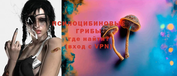 PSILOCYBIN Касимов