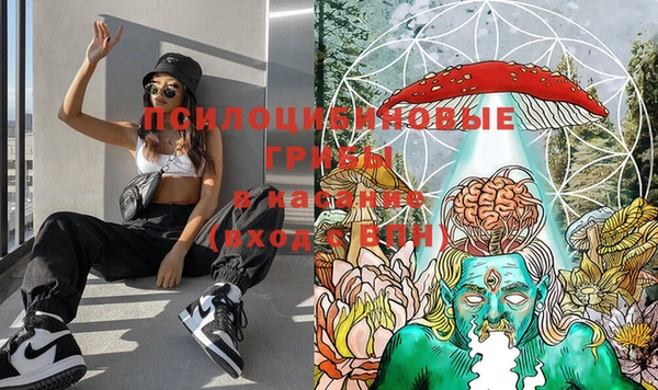 шишки Киреевск